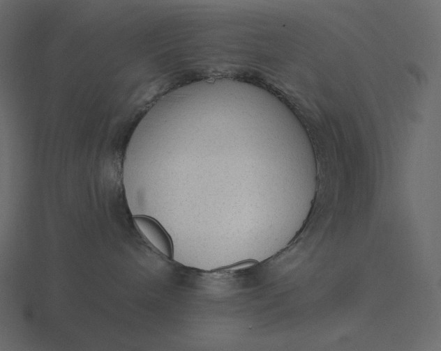 X0000116570240200912241640