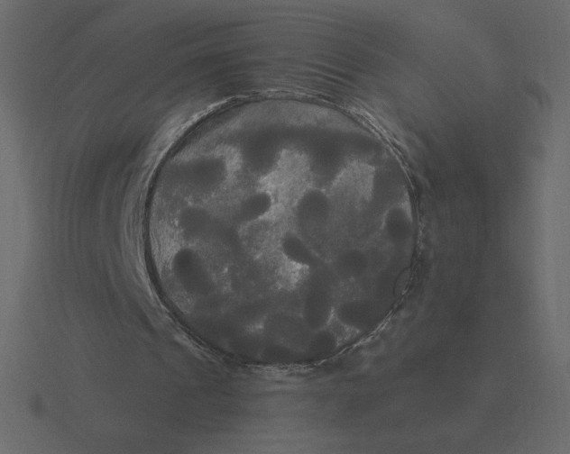 X0000116570241200912241640