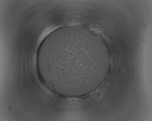 X0000116570242200912241640