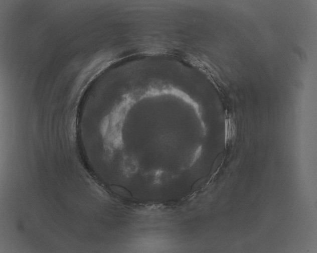 X0000116570243200912241640