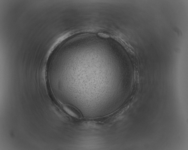 X0000116570244200912241640