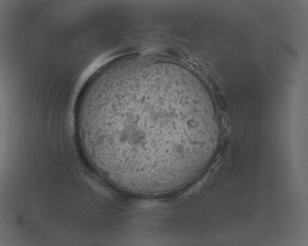 X0000116570246200912241640