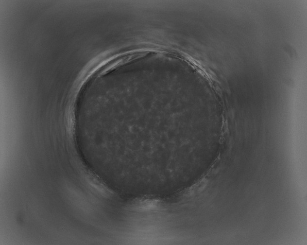 X0000116570247200912241640