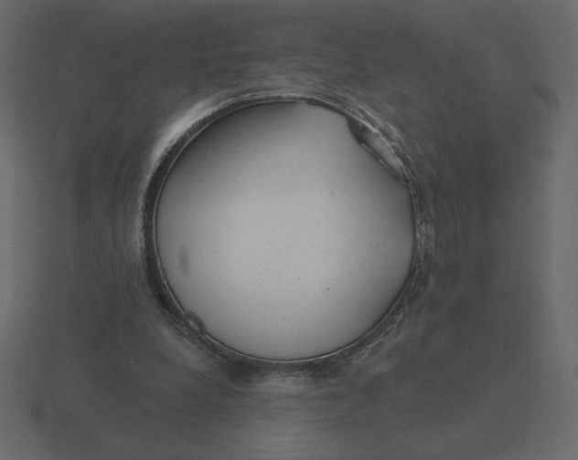 X0000116570248200912241640