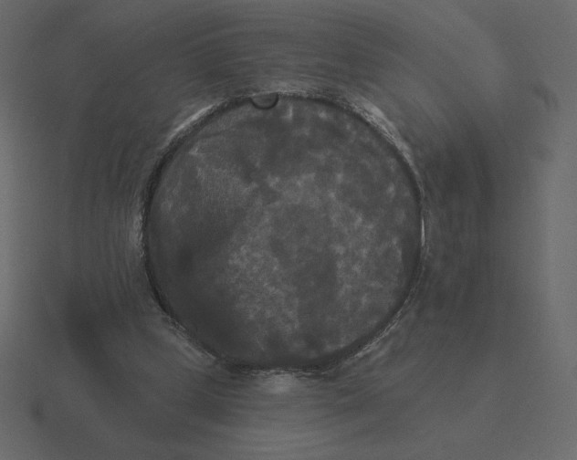 X0000116570249200912241640