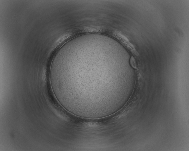 X0000116570250200912241640