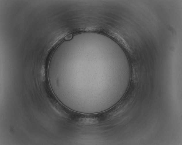 X0000116570251200912241640