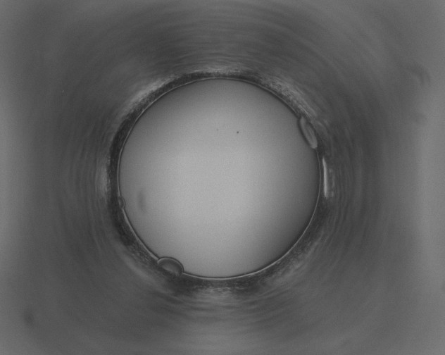 X0000116570252200912241640