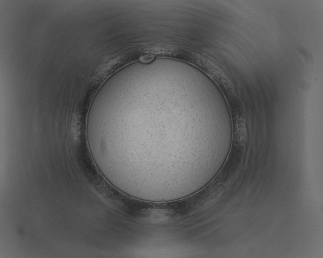 X0000116570255200912241640