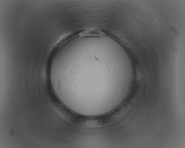 X0000116570256200912241640