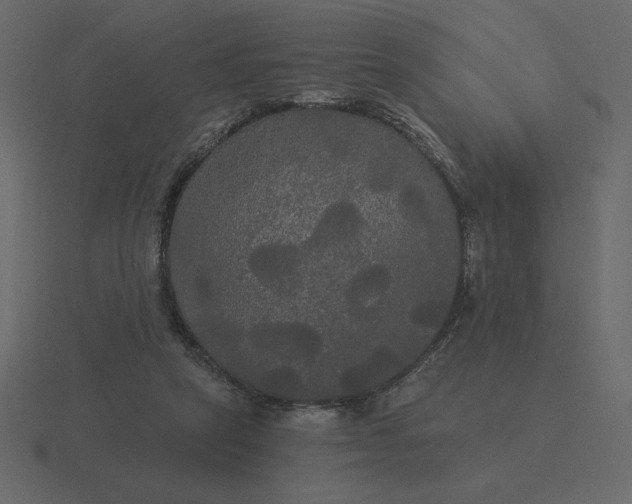 X0000116570257200912241640