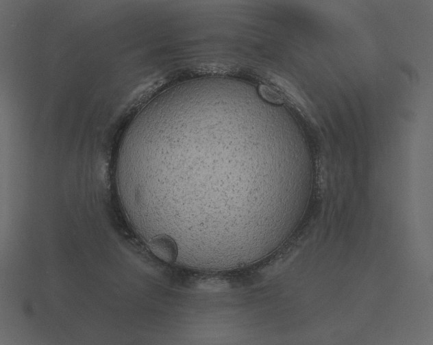 X0000116570258200912241640