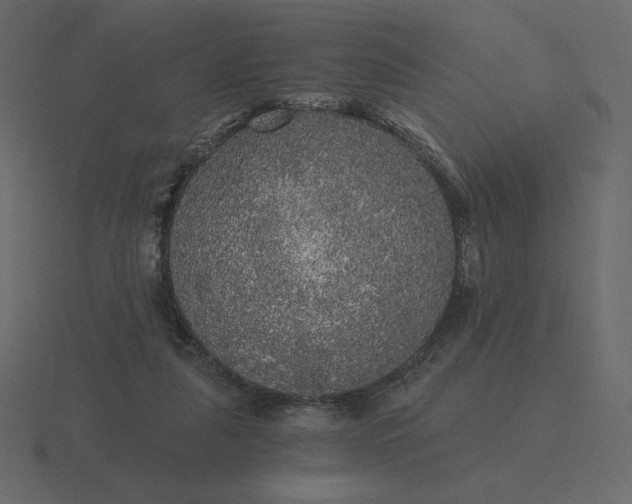 X0000116570259200912241640