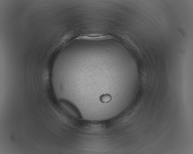 X0000116570260200912241640