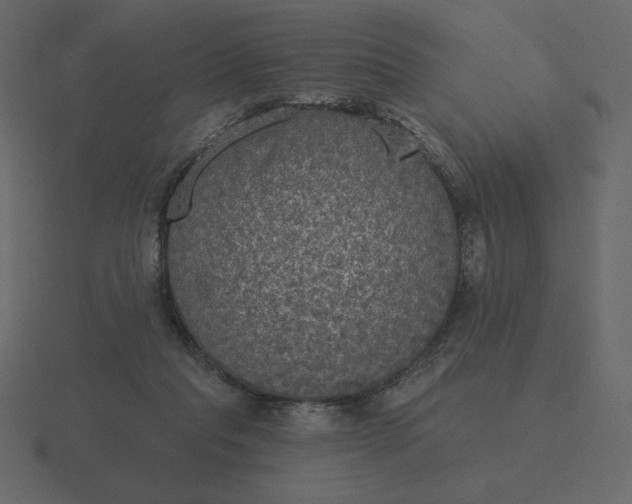 X0000116570261200912241640