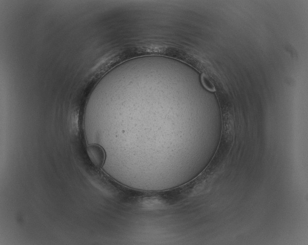 X0000116570262200912241640