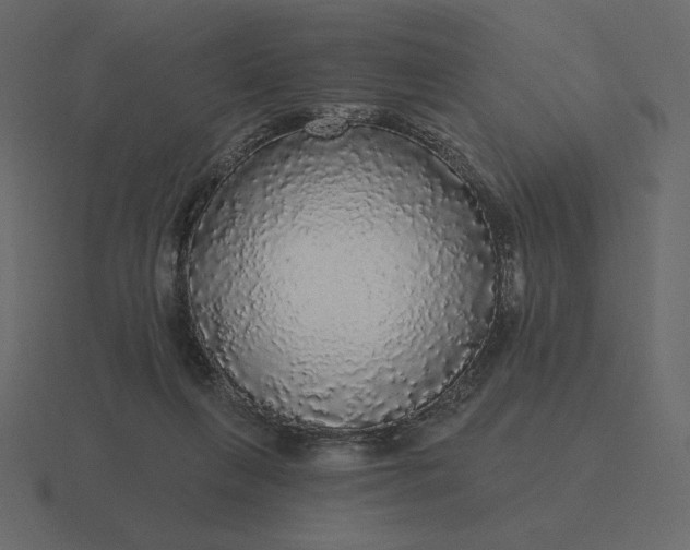 X0000116570263200912241640