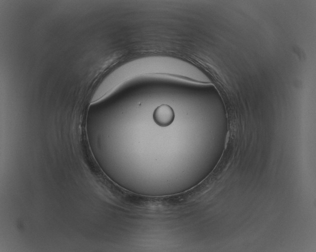 X0000116570264200912241640