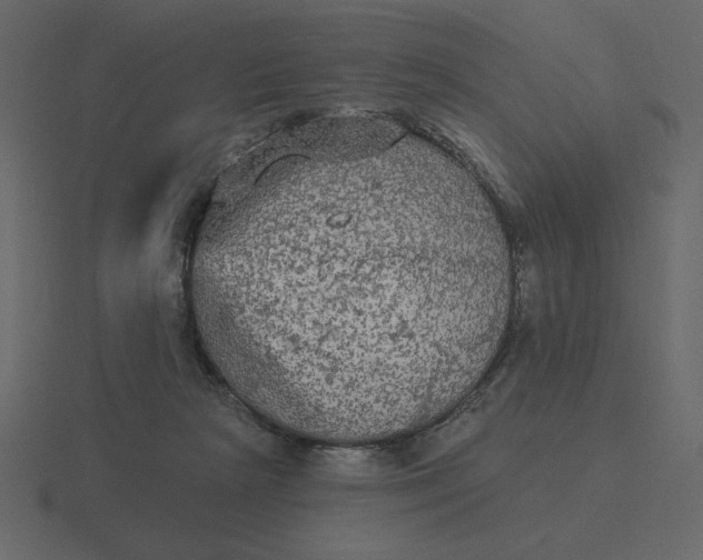 X0000116570265200912241640