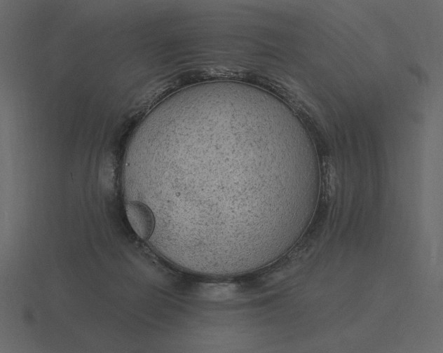 X0000116570266200912241640