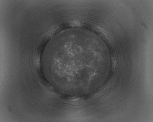 X0000116570267200912241640