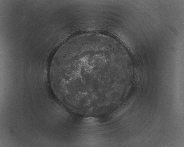 X0000116570269200912241640