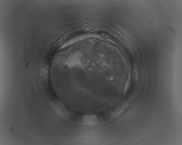 X0000116570271200912241640