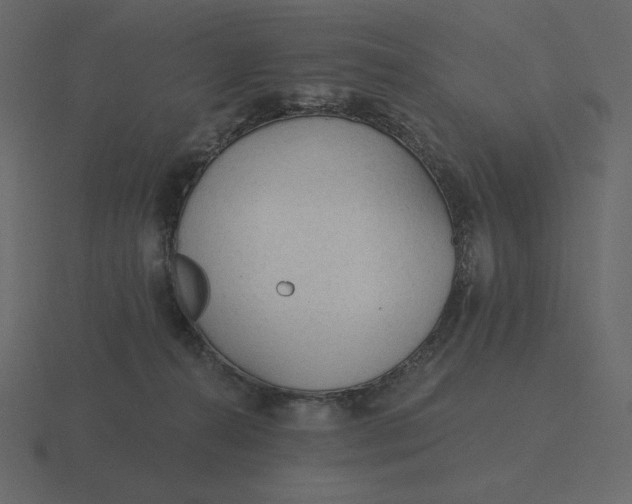 X0000116570272200912241640