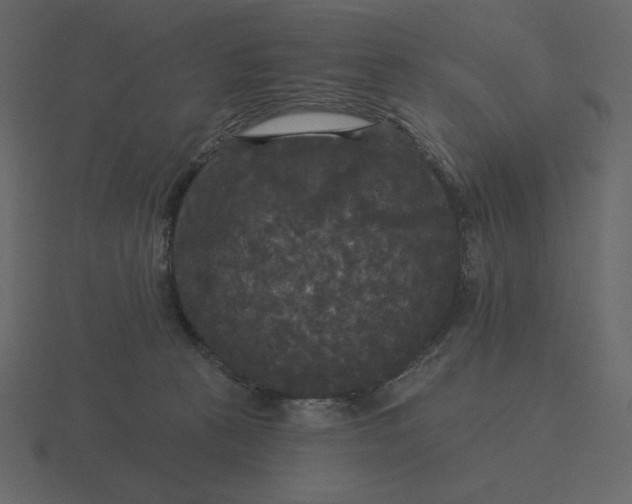 X0000116570273200912241640