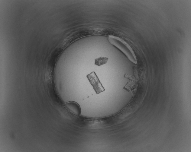 X0000116570274200912241640