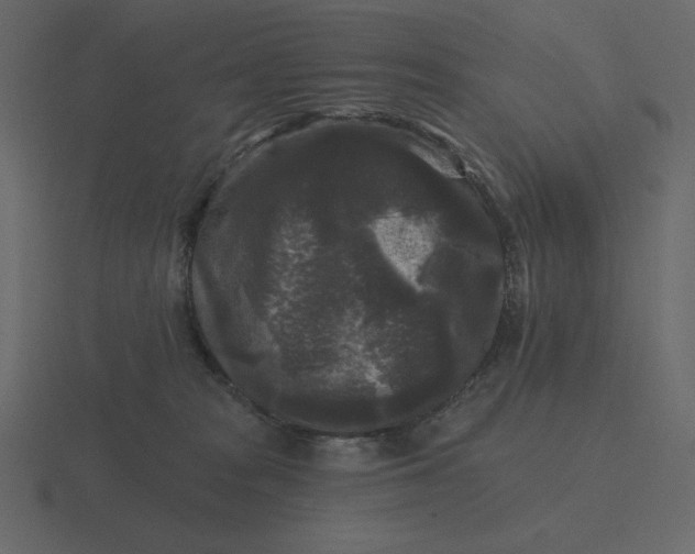 X0000116570277200912241640