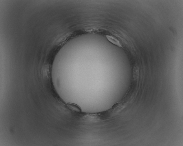 X0000116570280200912241640