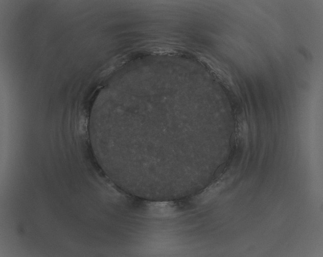 X0000116570281200912241640