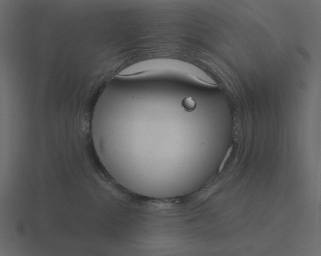 X0000116570284200912241640