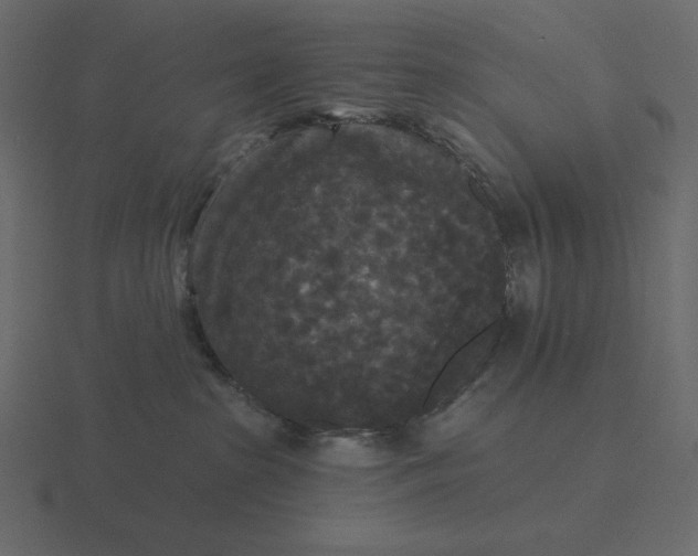 X0000116570285200912241640