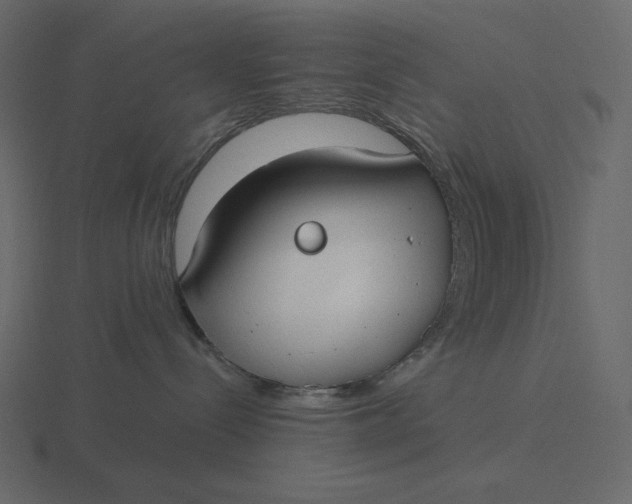 X0000116570288200912241640