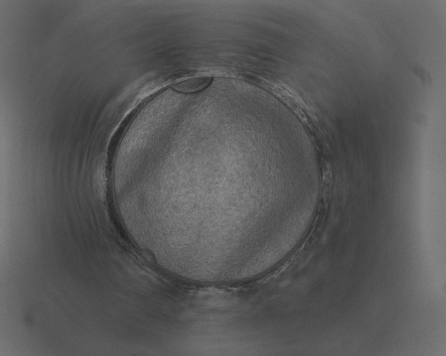 X0000116570290200912241640