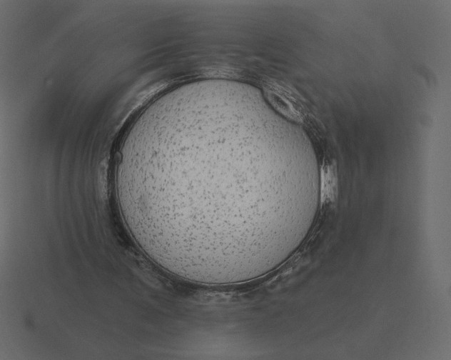 X0000116570291200912241640