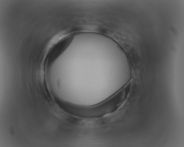 X0000116570294200912241640