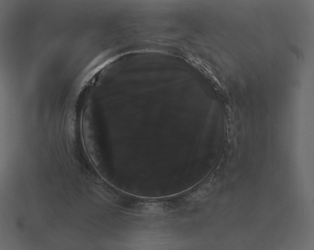 X0000116570295200912241640