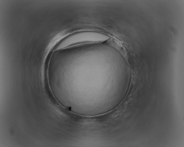 X0000116570296200912241640