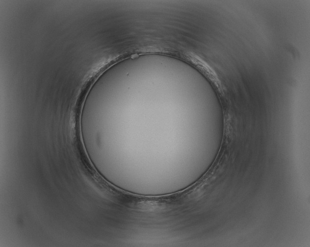 X0000116570298200912241640