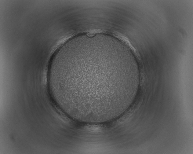 X0000116570299200912241640