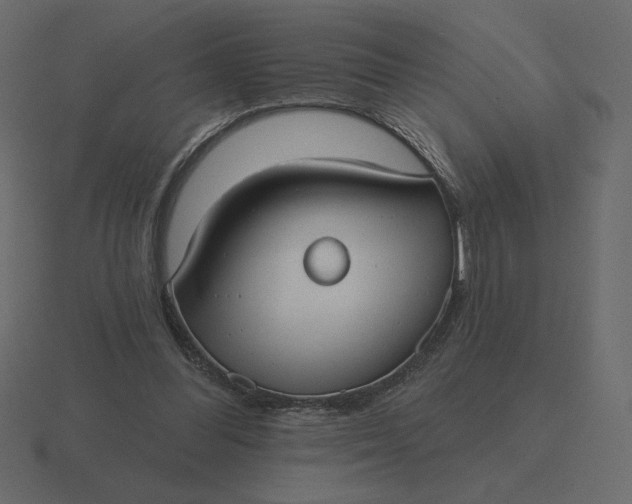 X0000116570300200912241640