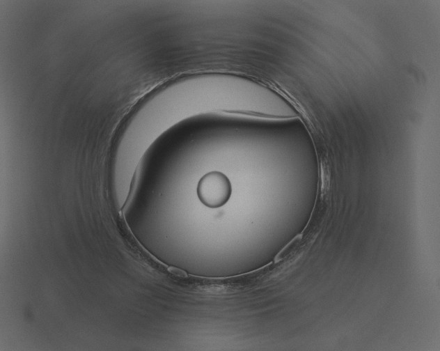 X0000116570301200912241640