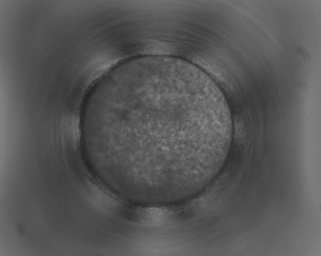 X0000116570302200912241640