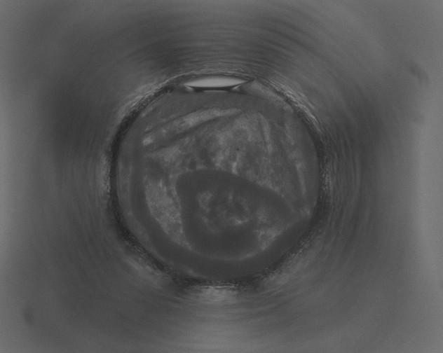 X0000116570303200912241640