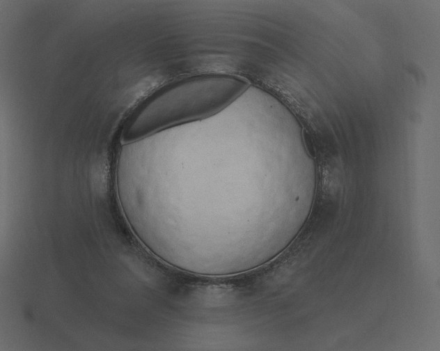 X0000116570304200912241640