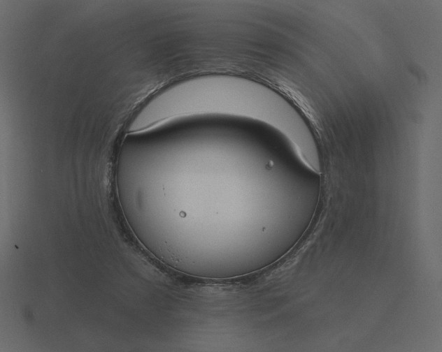 X0000116570305200912241640