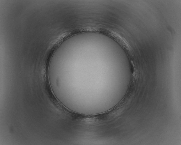 X0000116570306200912241640